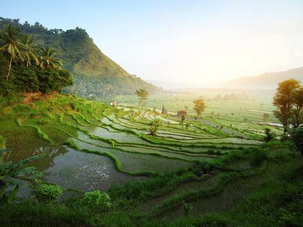 13 Tage Kombinationsreisen Indonesien - Bali: Zwischen Dschungelklängen und Wellenrauschen mit Entspannung im 4-Sterne-Hotel in Sanur