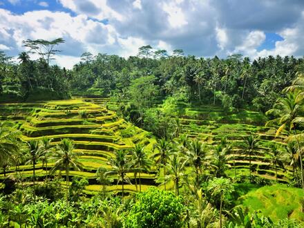 16 Tage Rundreisen Indonesien: Inselträume zwischen Vulkanen und Tempeln